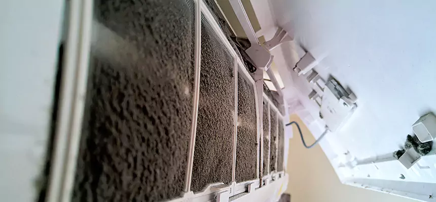 Preventive Air Duct Bacteria Removal in Chicago Heights