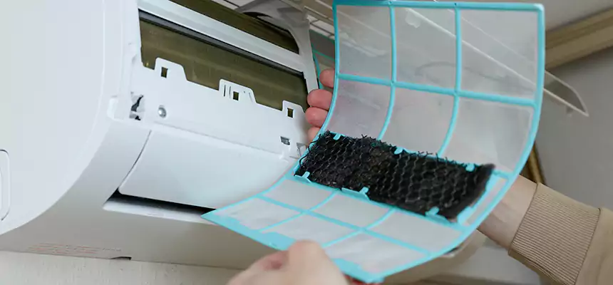 Gentle Ductwork Odor-Control Pet Dander Duct Cleaning in Chicago Heights, IL