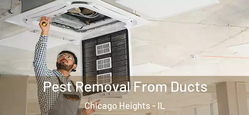  Pest Removal From Ducts Chicago Heights - IL