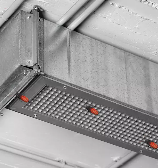 About Air Duct Cockroach Removal in Chicago Heights, IL