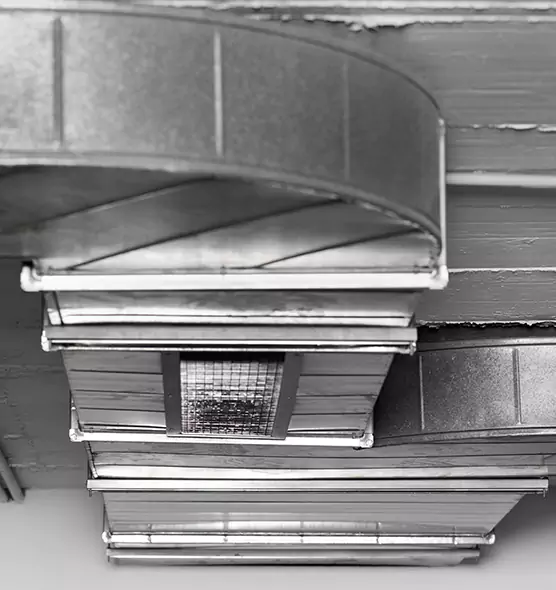 Professional Air Duct Pest Removal in Chicago Heights, IL