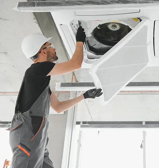 About Air Duct Rodent Removal in Chicago Heights, IL