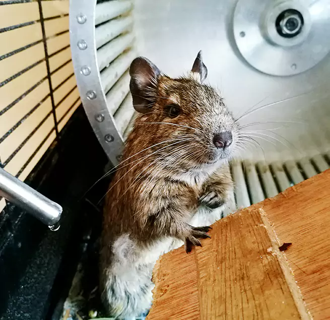 Why Homeowners & Businesses Trust Us Chicago Heights, IL