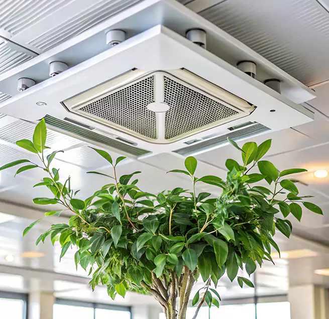 Why Homeowners & Businesses Trust Us in Chicago Heights, IL?