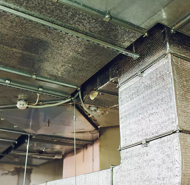 Why Homeowners & Businesses Trust Us in Chicago Heights, IL?